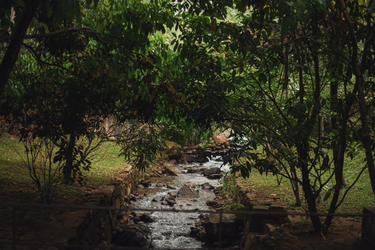 Sati Villa Kandy Sri Lanka المظهر الخارجي الصورة